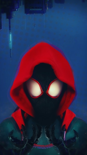 Spider-Man from Spider-Man: Into the Spider-Verse