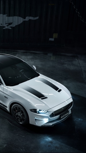 White Ford Mustang with Black Stripes