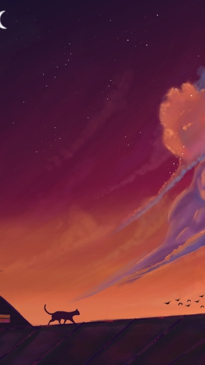 Cat walking on a rooftop at sunset