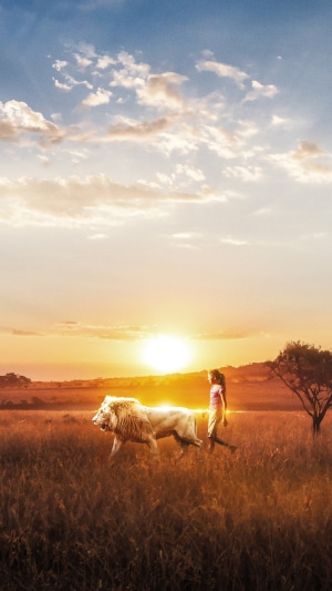 Girl and lion walking at sunset