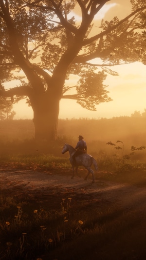 Man on horse in Red Dead Redemption 2 at sunset