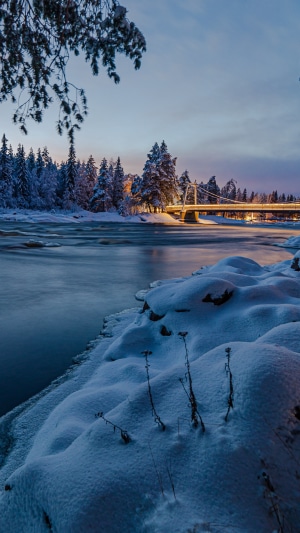 Winter scene with snow-covered trees and a bridge over a river