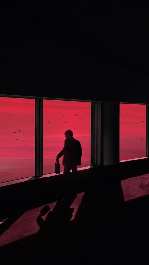 Silhouette of a man with a briefcase against a red sky