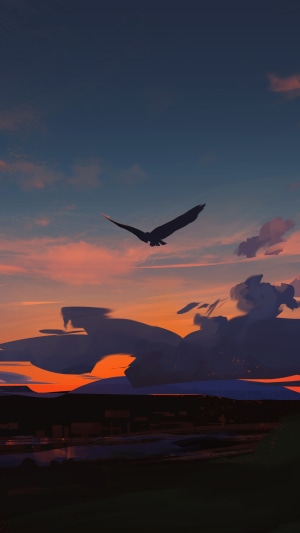 Eagle flying at sunset over landscape