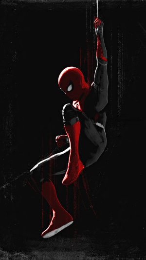 Spider-Man hanging from a web