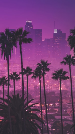 Los Angeles skyline with palm trees at night