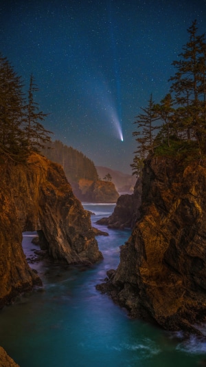 Comet over rocky coast with pine trees
