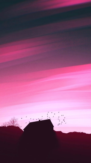 Silhouette of a house with birds against a pink sky