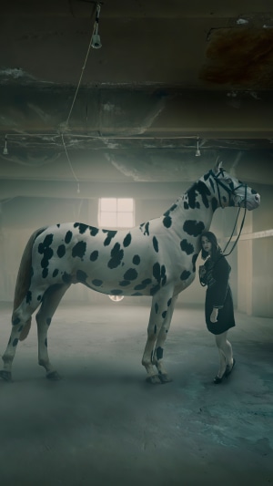 Appaloosa horse and woman in a dusty room
