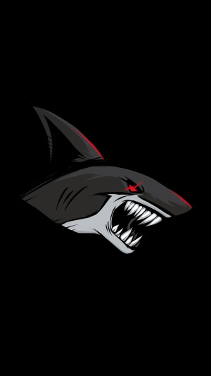 Minimalist Shark Artwork 4K