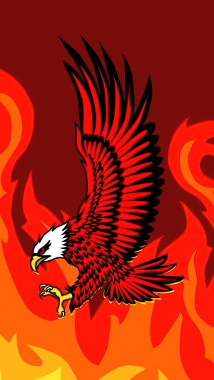 Red Eagle in Flames Artwork 4K