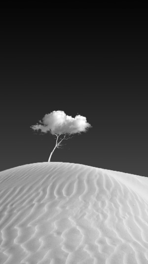 Monochrome tree with cloud on sand dune