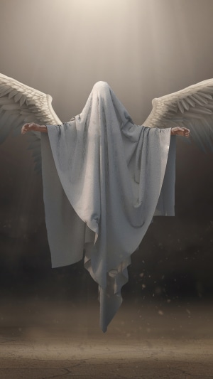 Angel covered in white cloth with wings