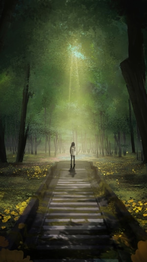 Person standing on stairs in a forest
