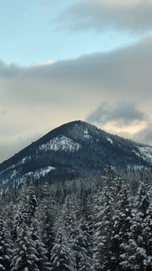 Snow-covered mountains and pine trees under a cloudy sky