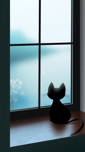 Black cat looking out a window