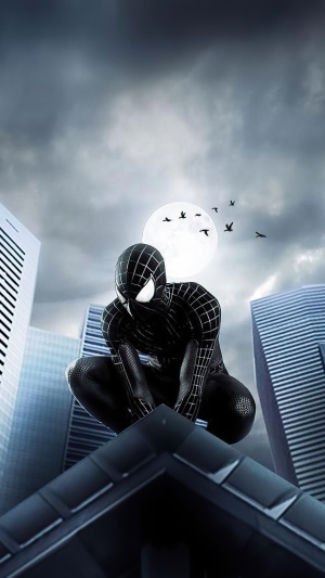 Black Spiderman crouching on a rooftop with moon and birds