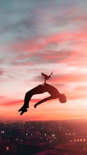 Silhouette of a person falling with a bird
