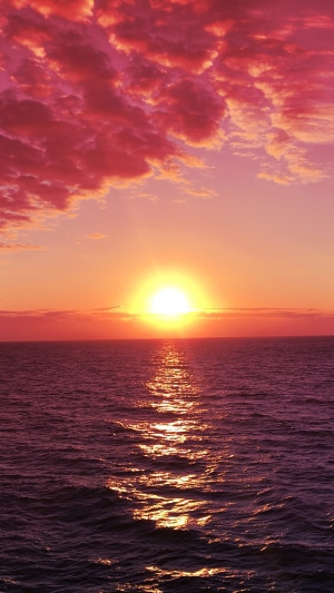 Sunrise over the ocean with pink clouds
