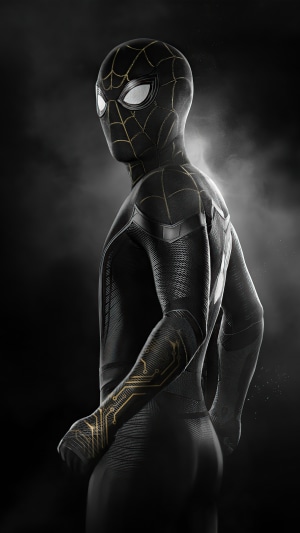 Spider-Man from Spider-Man: No Way Home 4K