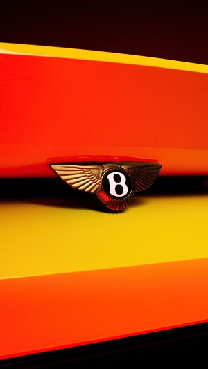 Bentley Mulliner Bacalar emblem on car