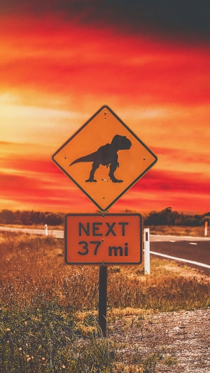 Dinosaur crossing sign with sunset