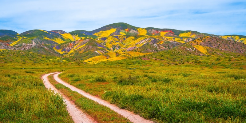 Carrizo Plain National Monument California Mountains Road