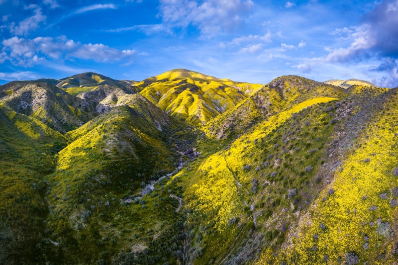Carrizo Plain National Monument California Mountains