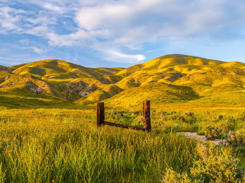 Carrizo Plain National Monument, California, USA