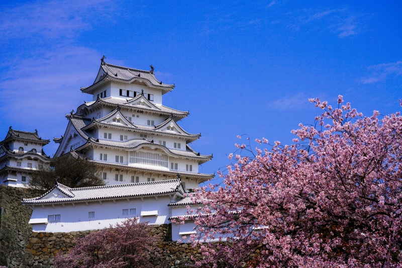 4K Himeji Castle with Cherry Blossoms in Spring