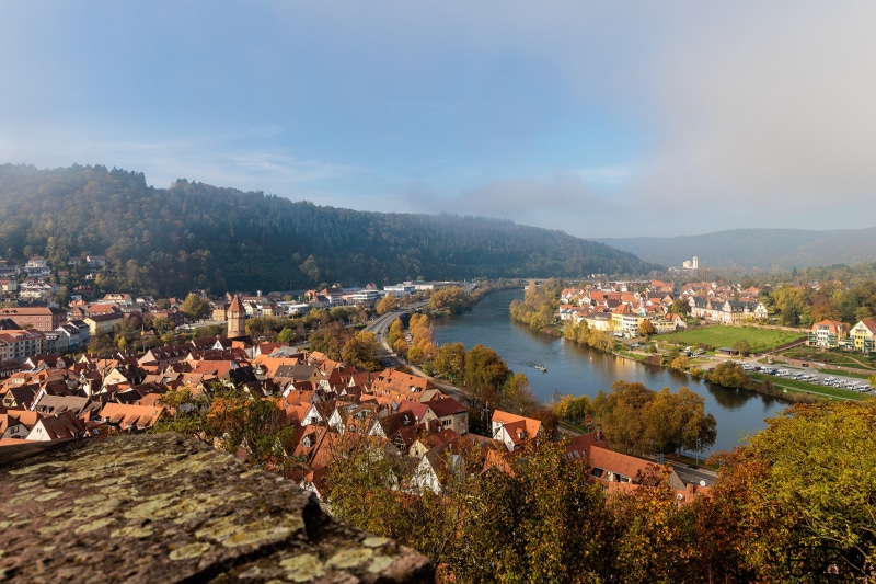 River and town with forested hills in Germany
