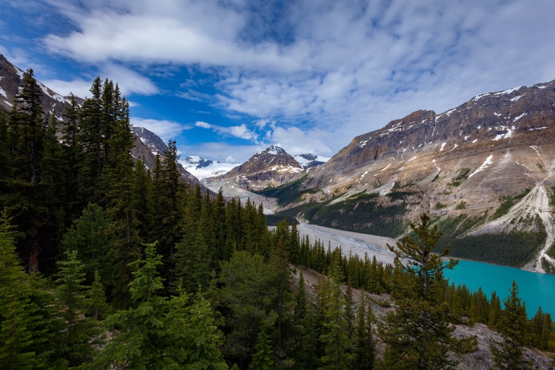 Peyto Lake, Banff National Park, Canada