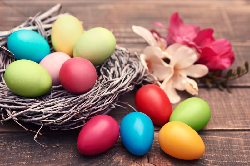 Easter Eggs in a Nest with Flowers