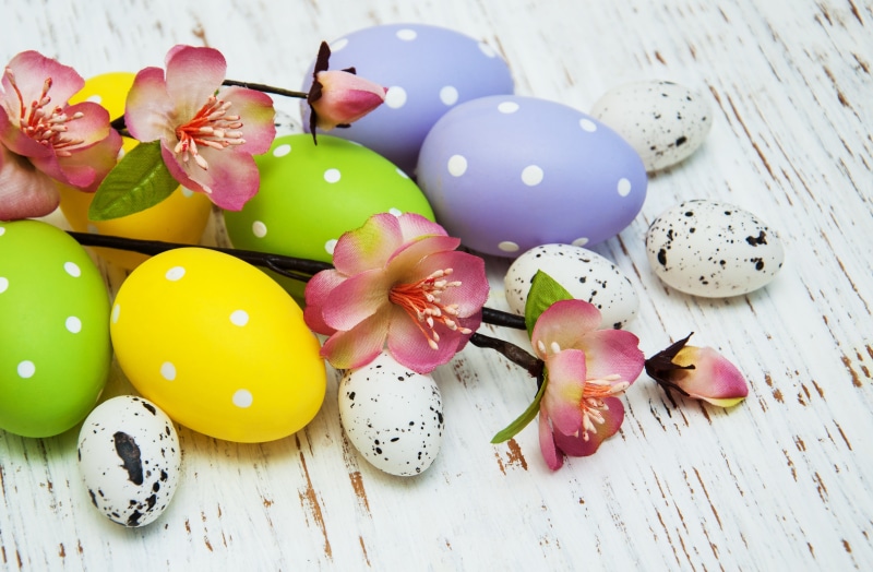 Easter Eggs and Flowers on Wooden Background