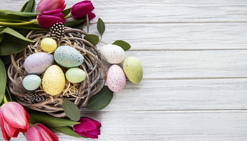 Easter Eggs in a Nest with Tulips