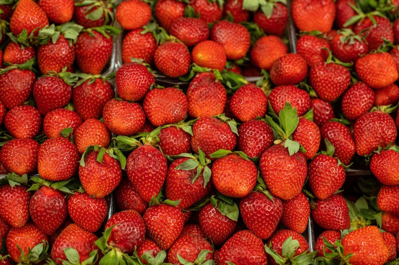 Many Strawberries