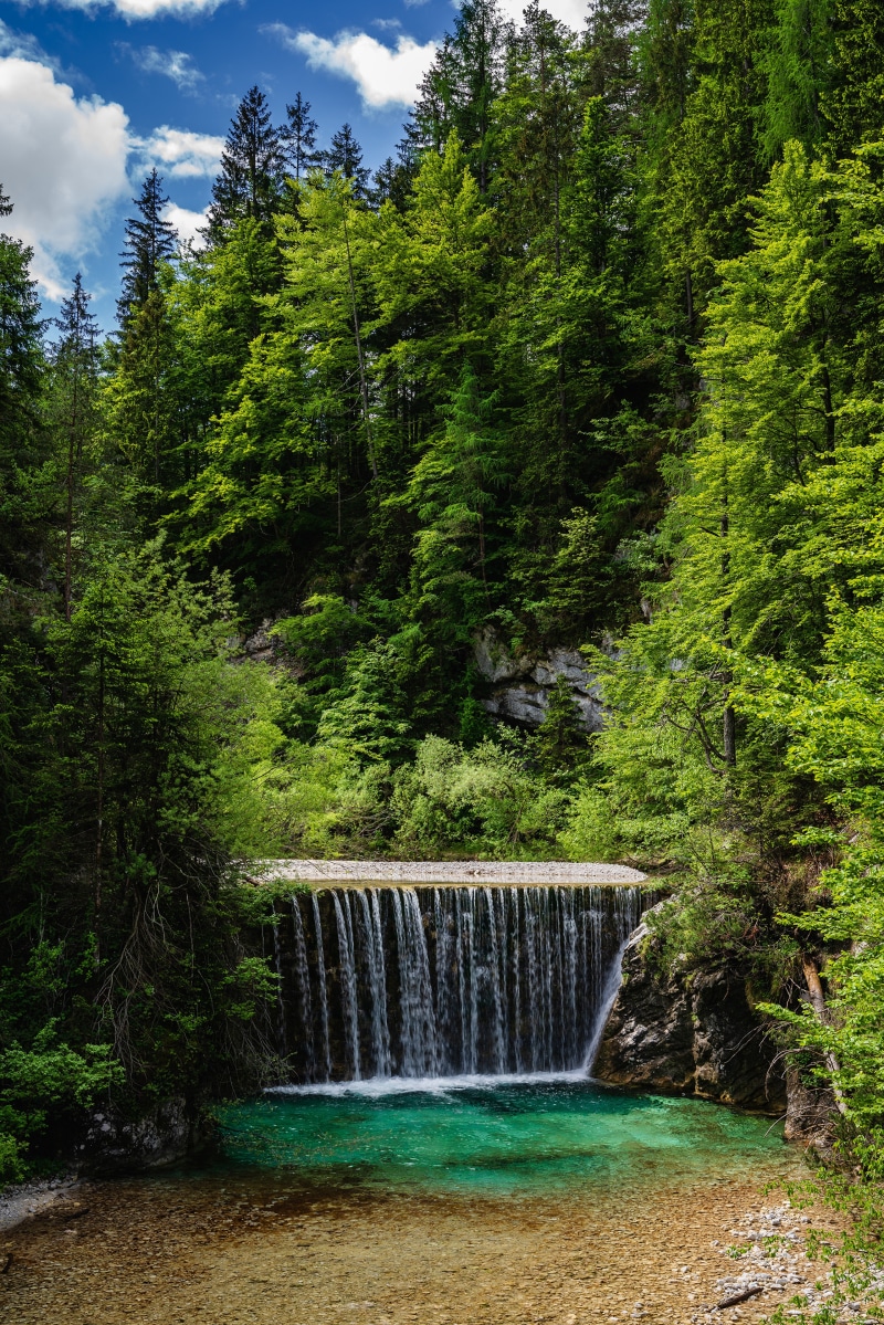 Waterfall in a lush green forest in Slovenia