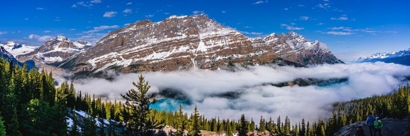 Peyto Lake Banff National Park Canada Mountains
