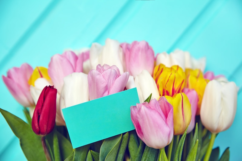 Bouquet of Tulips with Greeting Card