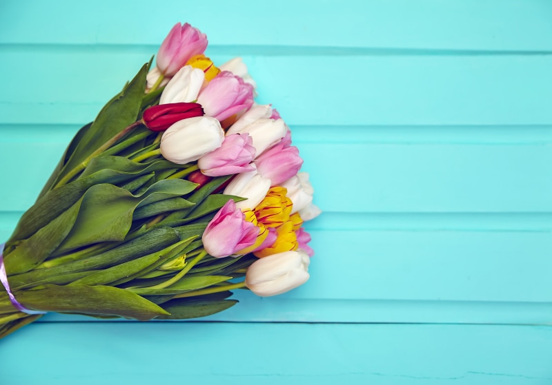 Bouquet of Tulips