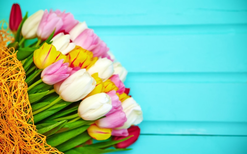 Bouquets of Tulips