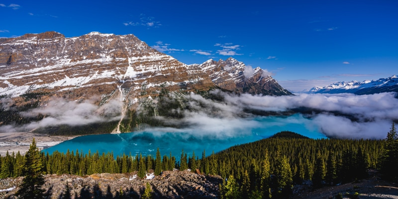Peyto Lake, Banff National Park, Canada