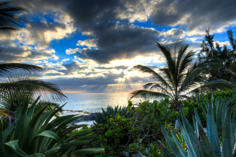 4K Bahamas Sea Clouds and Palms