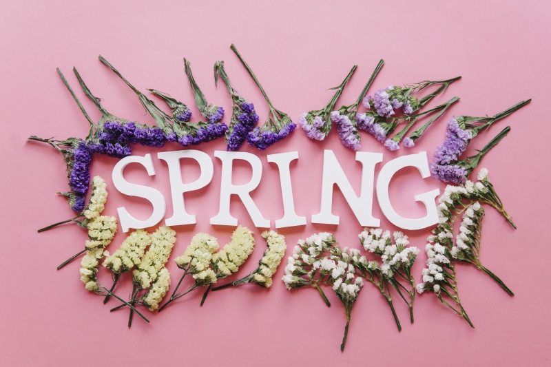 Spring word with flowers on pink background