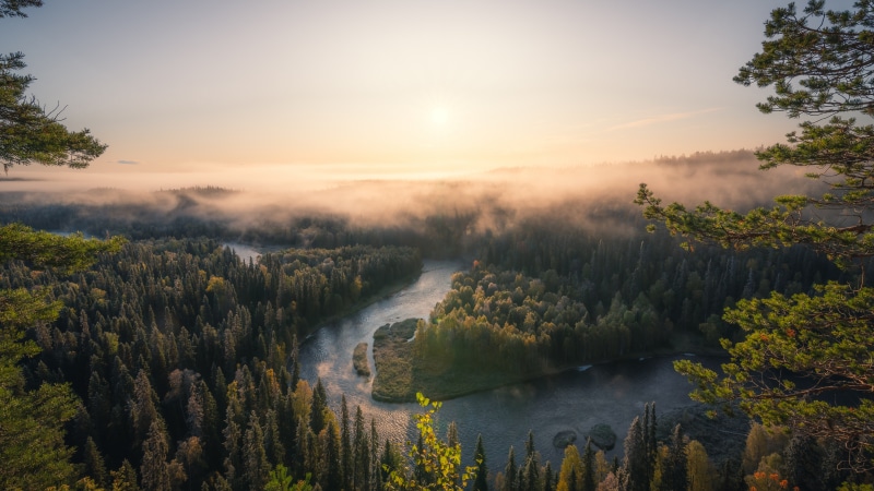 Oulanka National Park, Finland: River and Fog at Sunrise