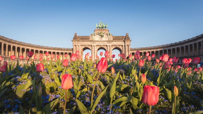 Brussels, Belgium: Tulips in front of the Royal Arch