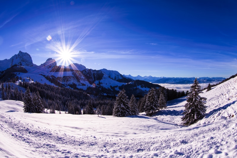 Snowy Mountains with Sun and Trees