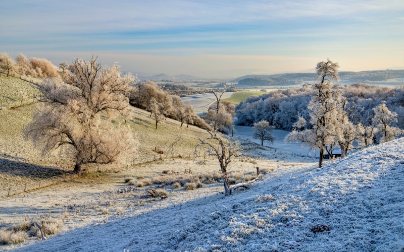 Winter landscape with frost in Bergweiler, Germany