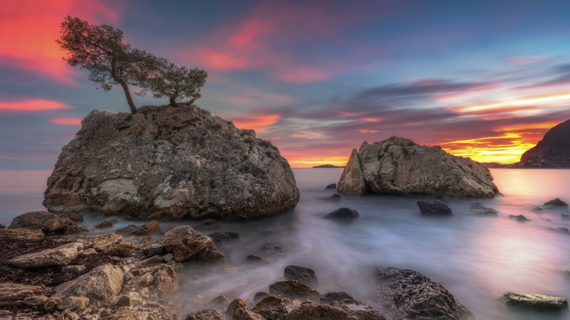 Rocky Coastline at Sunset with Trees