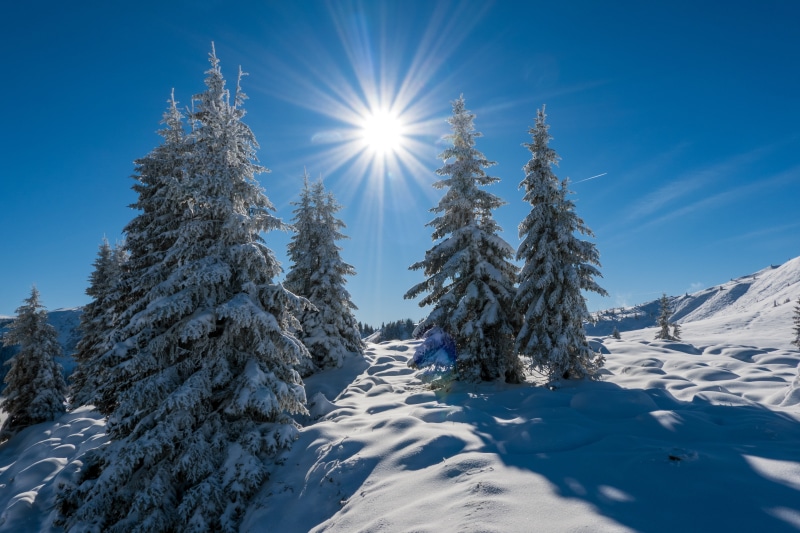 Winter Mountains with Snow-Covered Spruce Trees and Sun in Austria